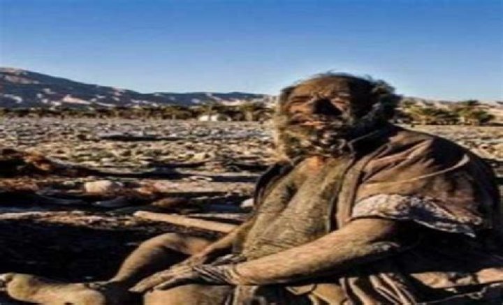 
Amou Haji Biography, Wiki, Age, Wife, Net Worth, Family, After Bath, Cause of Death 