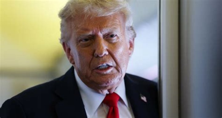 
Brian Boyd Age, Birthday, Wikipedia, Who, Nationality, Biography 