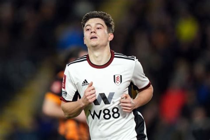
Dan James Joins Fulham On Loan From Leeds 