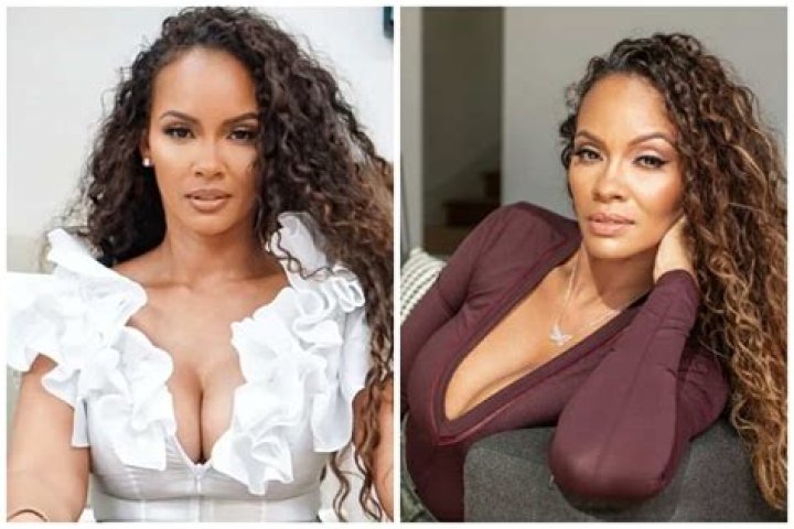 
Evelyn Lozada Height, Weight, Net Worth, Age, Birthday, Wikipedia, Who, Nationality, Biography 