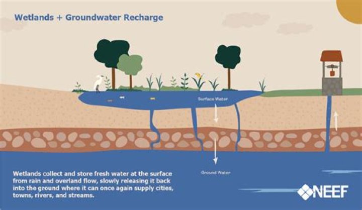 
Has groundwater use increased over time? 