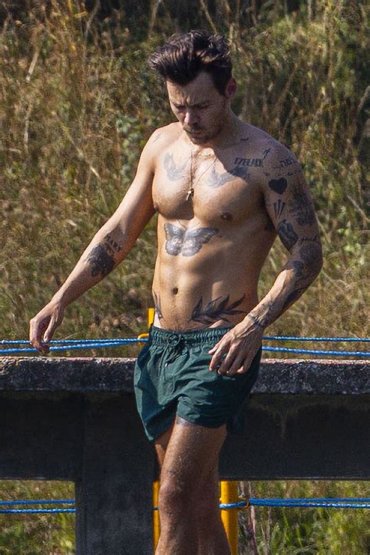 How hardcore are Harry Styles’s nude scenes in his next movie?