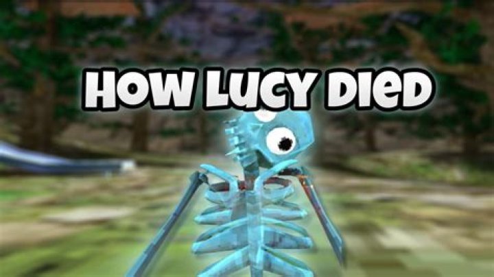 
Lucy Reff Cause Of Death, How Did Lucy Die? 