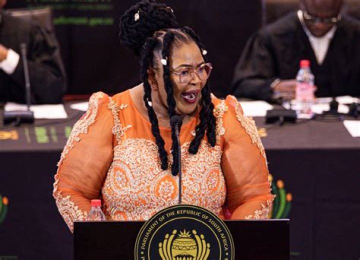 
Pemmy Majodina Age, Birthday, Wikipedia, Who, Nationality, Biography 