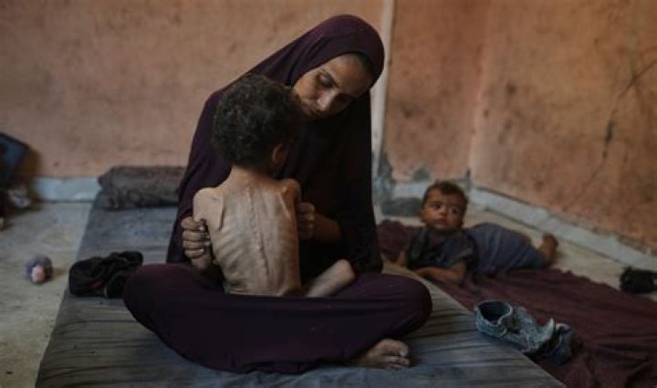 
People Are Looking For Lynsey Addario Ukraine Family Photo As New York Times Puts Out A Story 