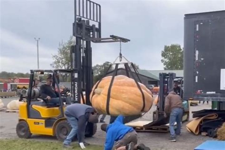 
Pumped Up: Enormous Pumpkin Grown in New York Smashes State and U.S. Records at 2,554 Lbs. 