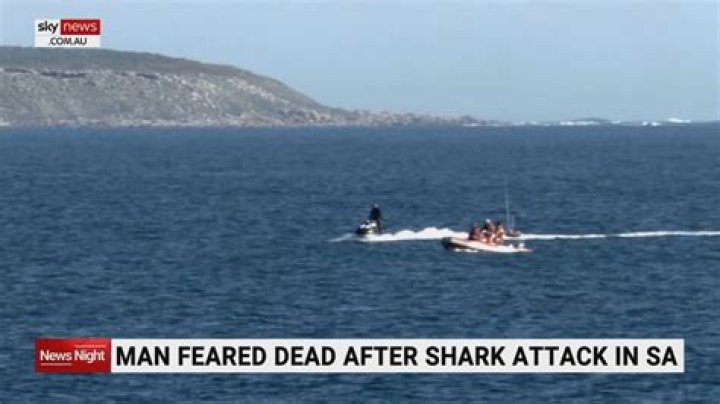 
Simon Baccanello Family Ethnicity And Health After Shark Attack 